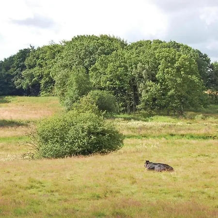 One-bedroom In Σπίτι διακοπών Hovborg