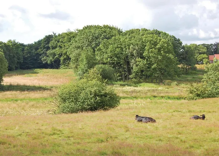 One-bedroom In Дом отдыха Ховборг